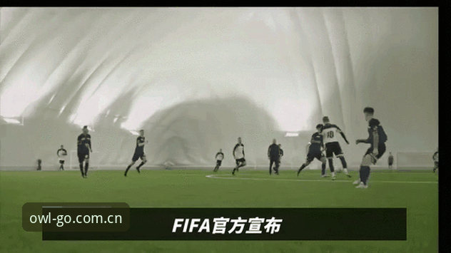 掌握2030世界杯扩军动态的实用技巧，猫头鹰体育为你深度解读