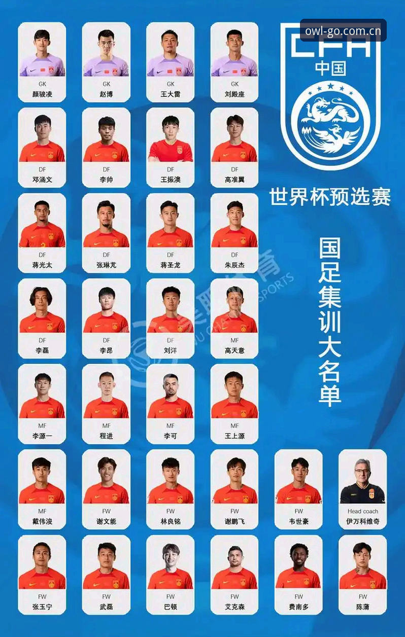 中国足协第三批禁足名单深度解析：从猫头鹰体育平台看足球反腐的实用指南
